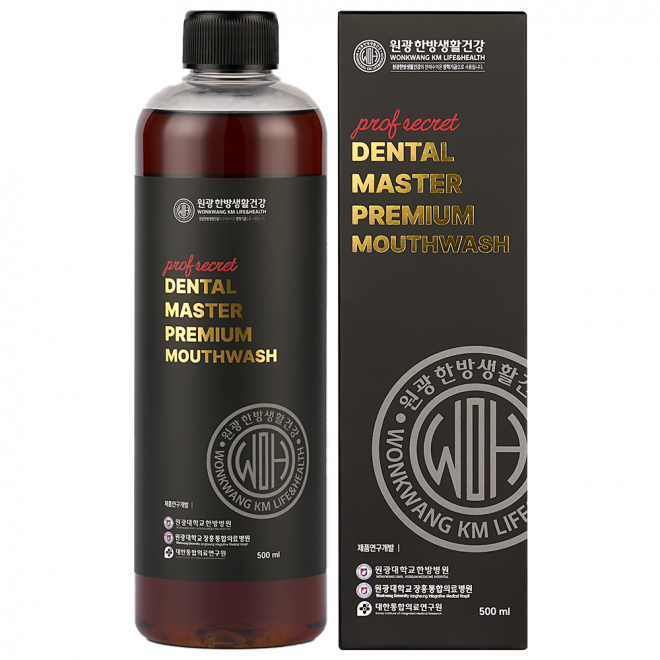 원광한방생활건강 덴탈마스터 프리미엄 가글액 500ml
